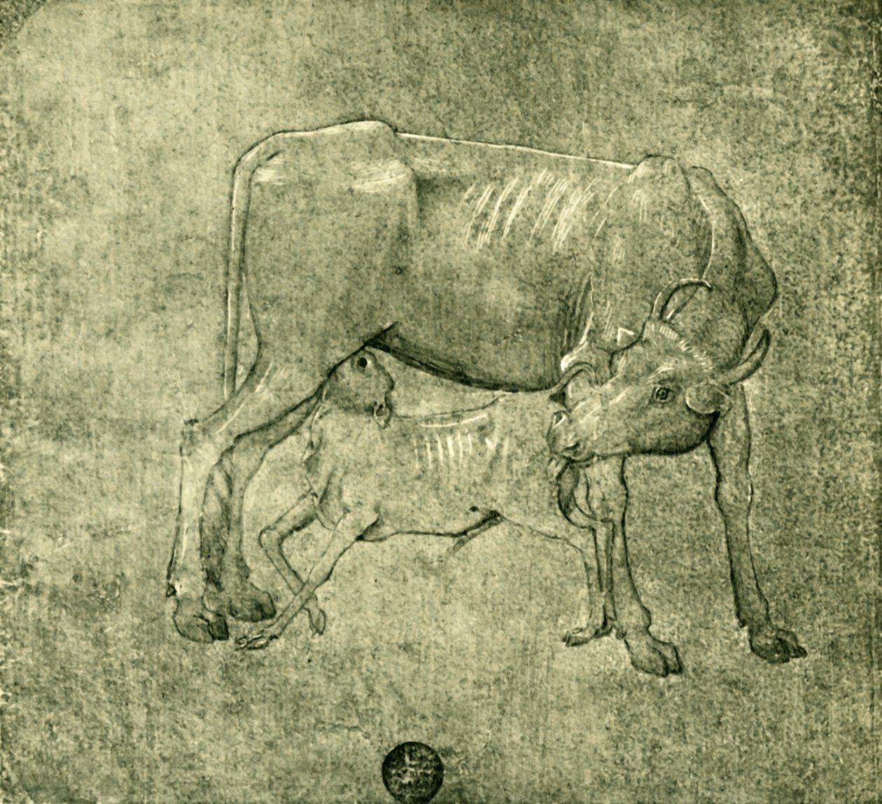Ku og kalv, midten av slutten av 1400-tallet, 1943. av Benozzo Gozzoli