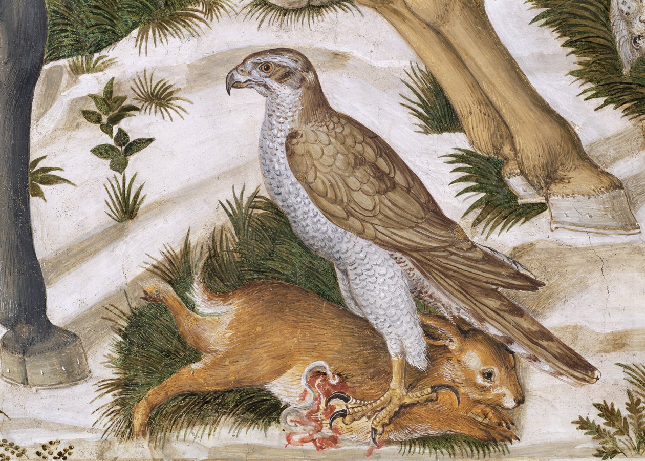 Falk med fanget kanin, detalj fra Journey of the Magi-syklusen i kapellet, ca. 1460 freskomaleri av 70601 av Benozzo di Lese di Sandro Gozzoli