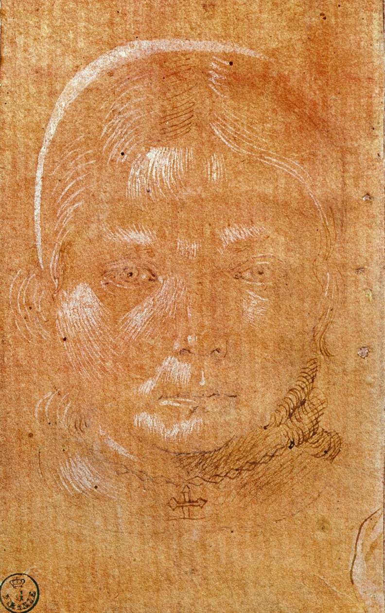 Hodet til en ung jente (kritt og blekk på papir) av Benozzo di Lese di Sandro Gozzoli