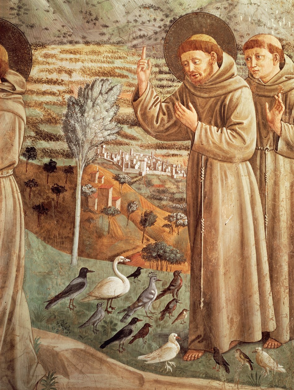 Historier fra livet til St. Francis, forkynnelse for fugler (1452), Fresker-syklus av Benozzo Gozzoli (1421-1497), apsidal tribune, St. Francis-kirken, Montefalco, Umbria, Italia av Benozzo di Lese di Sandro Gozzoli