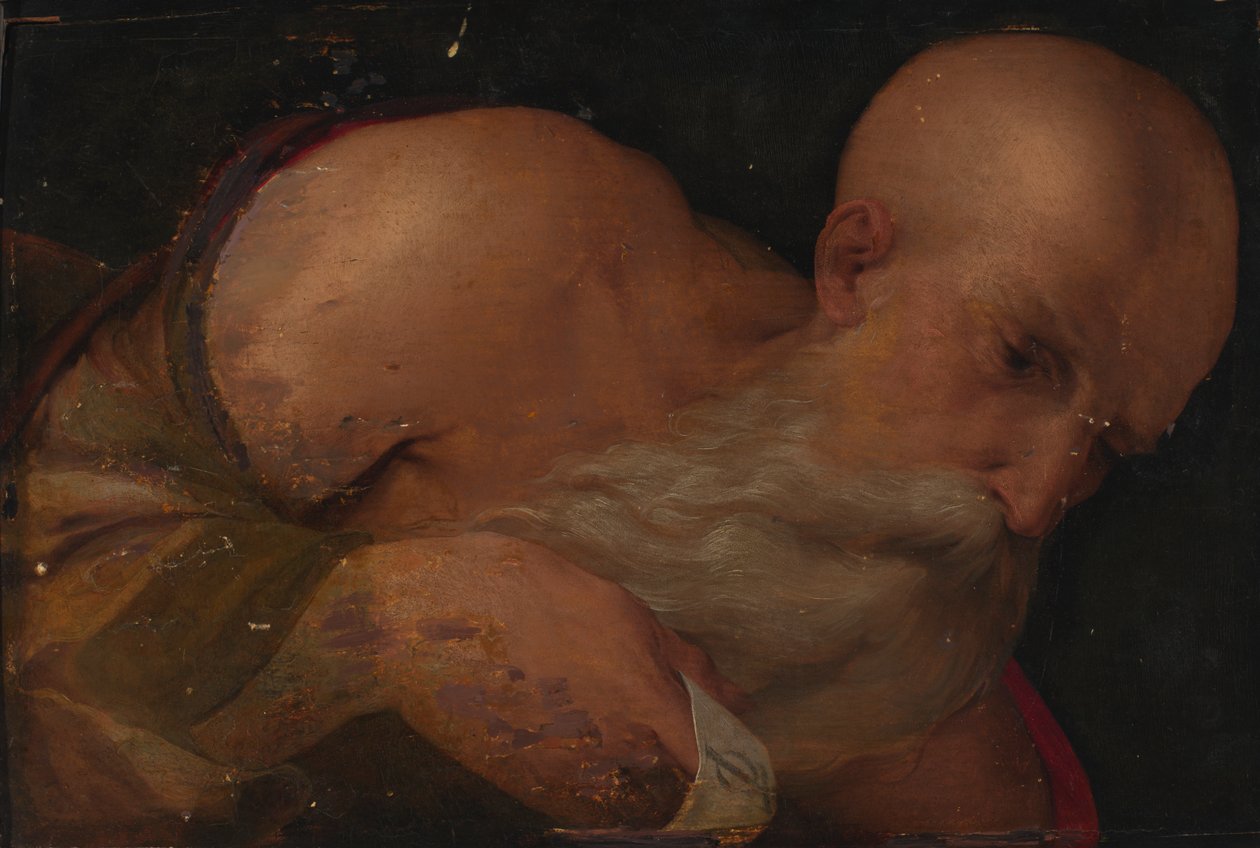 Portrett av en mann, 1500-tallet. av Benvenuto Tisi da Garofalo