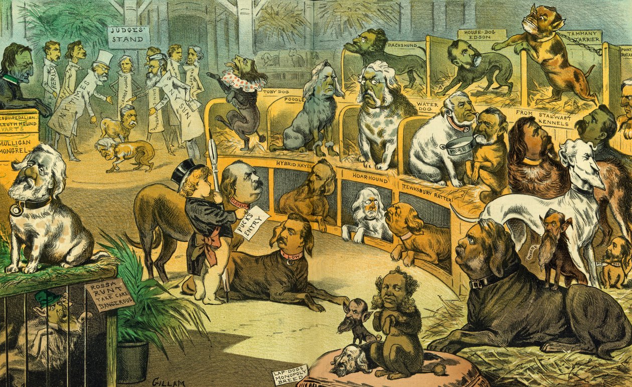 Vår nasjonale hundeutstilling, 1883 av Bernard Gillam