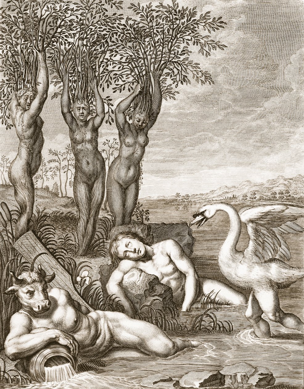 Cygnus forvandlet til en svane og Phaetons søstre til popper, 1731 av Bernard Picart