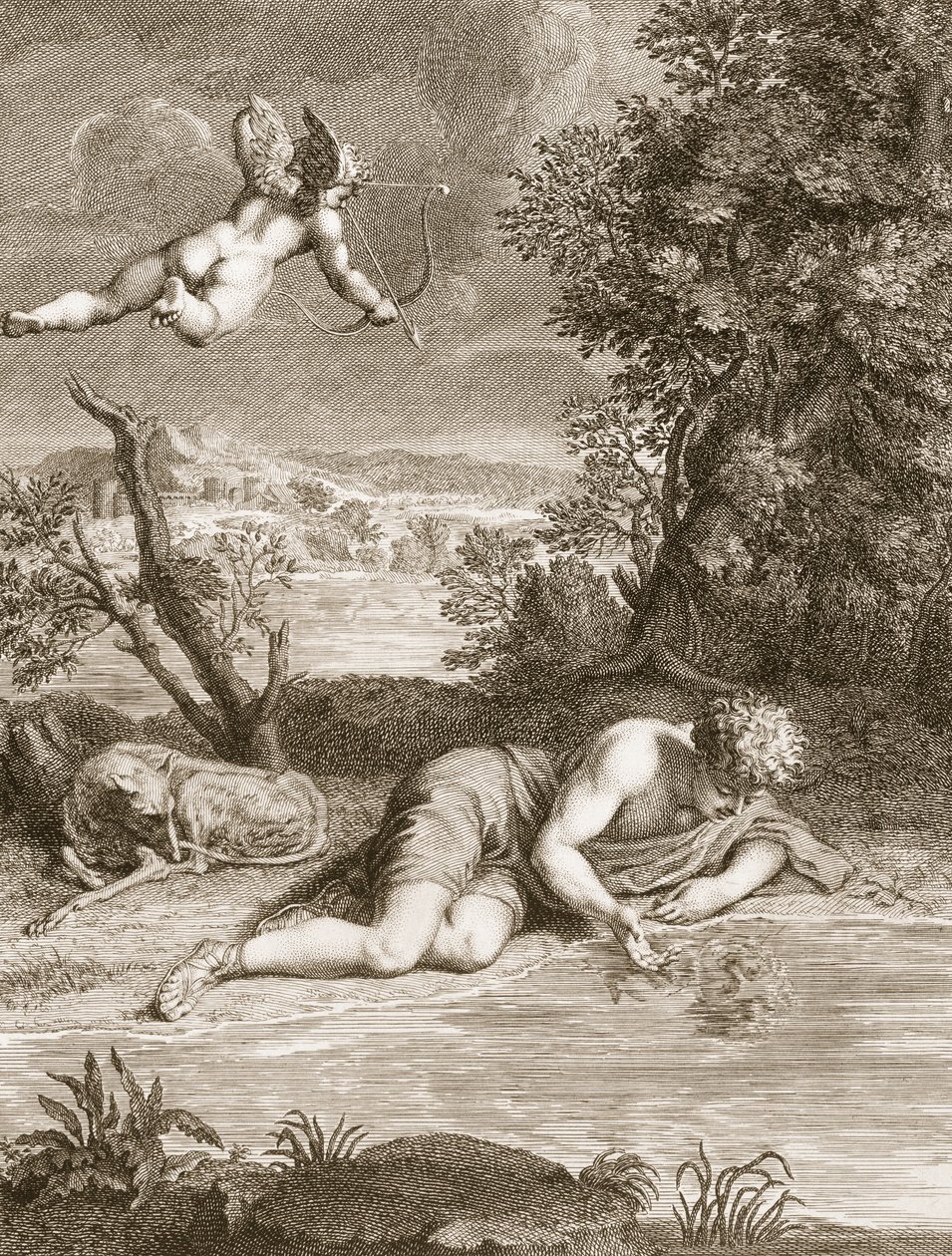 Narcissus forvandlet til en blomst, 1730 av Bernard Picart