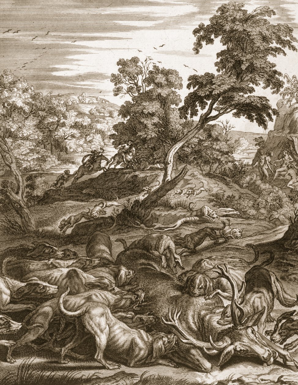 Actaeon forvandlet til en hjort og fortært av sine hunder, 1731 av Bernard Picart