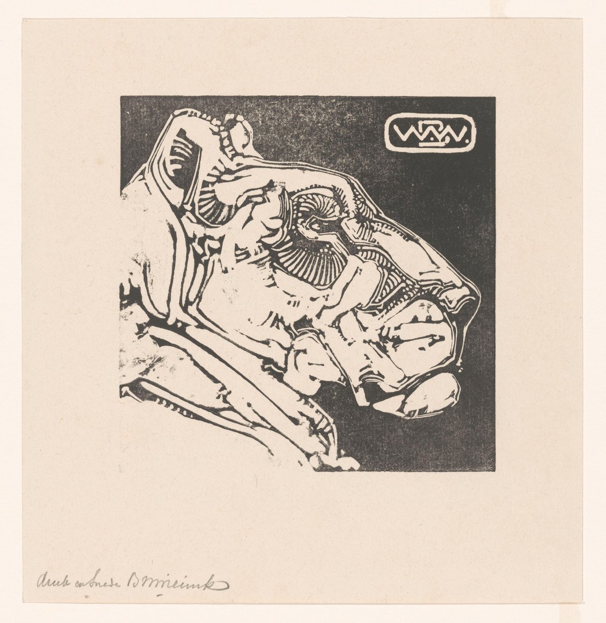 Hodet til en løvinne Løvinne (original tittel) av Bernard Willem Wierink (signed by artist)