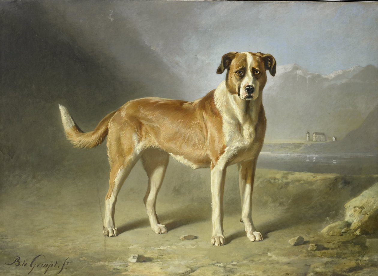 En St. Bernard-hund av Bernard te Gempt