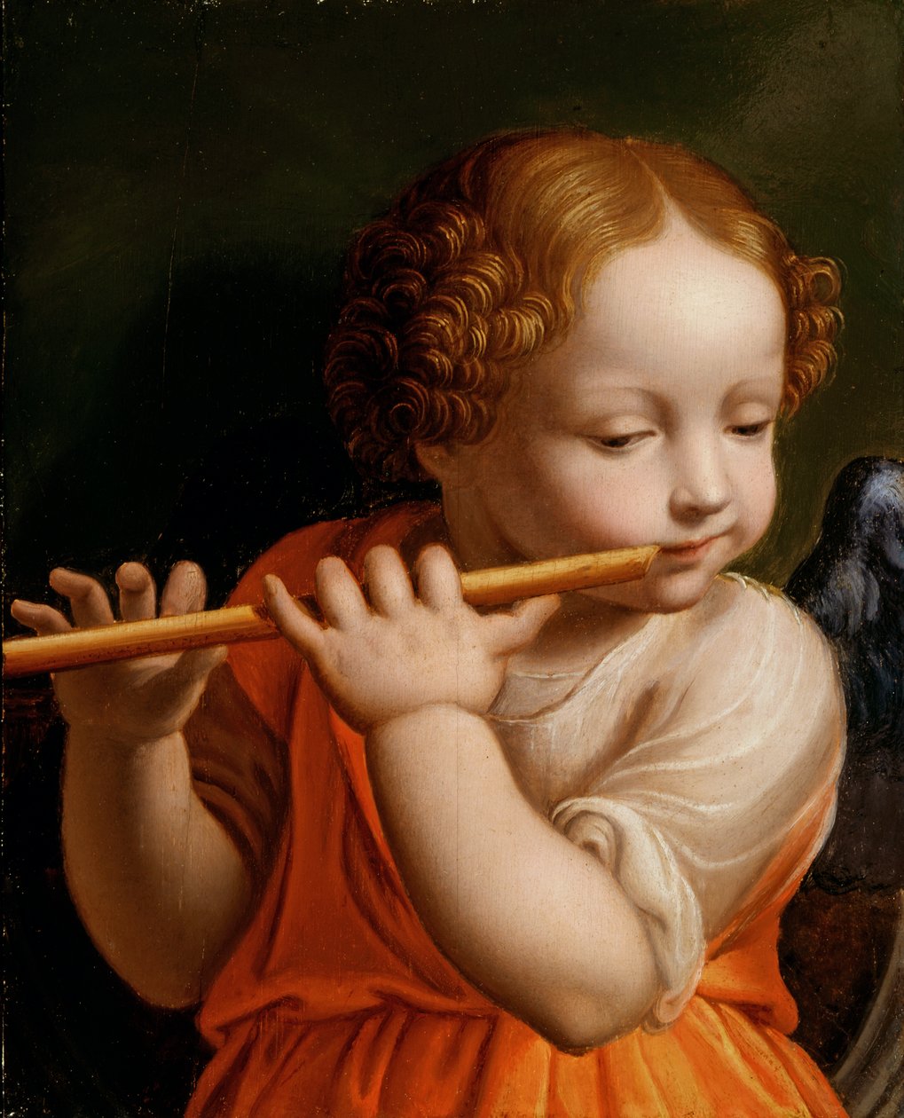 Barneengel som spiller på fløyte, ca. 1500 av Bernardino Luini