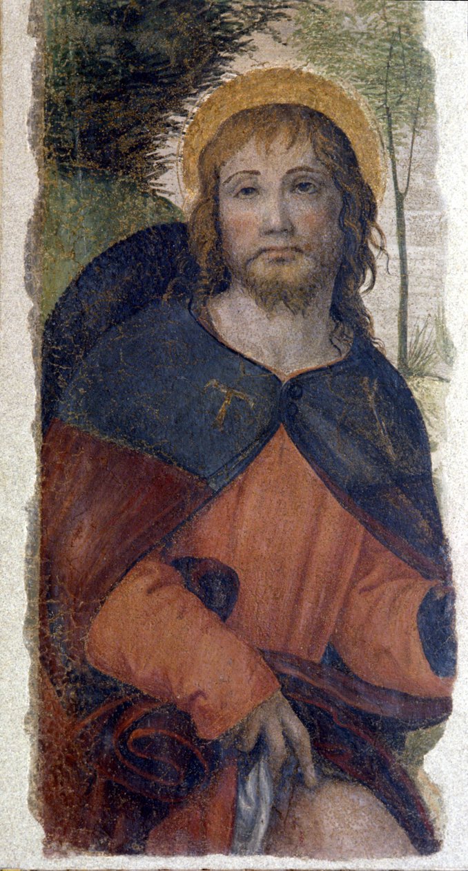 Representasjon av Saint Rocco (Roch). Freske av skolen til Bernardino de Scapis kjent som Bernardino Luini (1485-1532). Det 16. århundre av Bernardino (school of) Luini