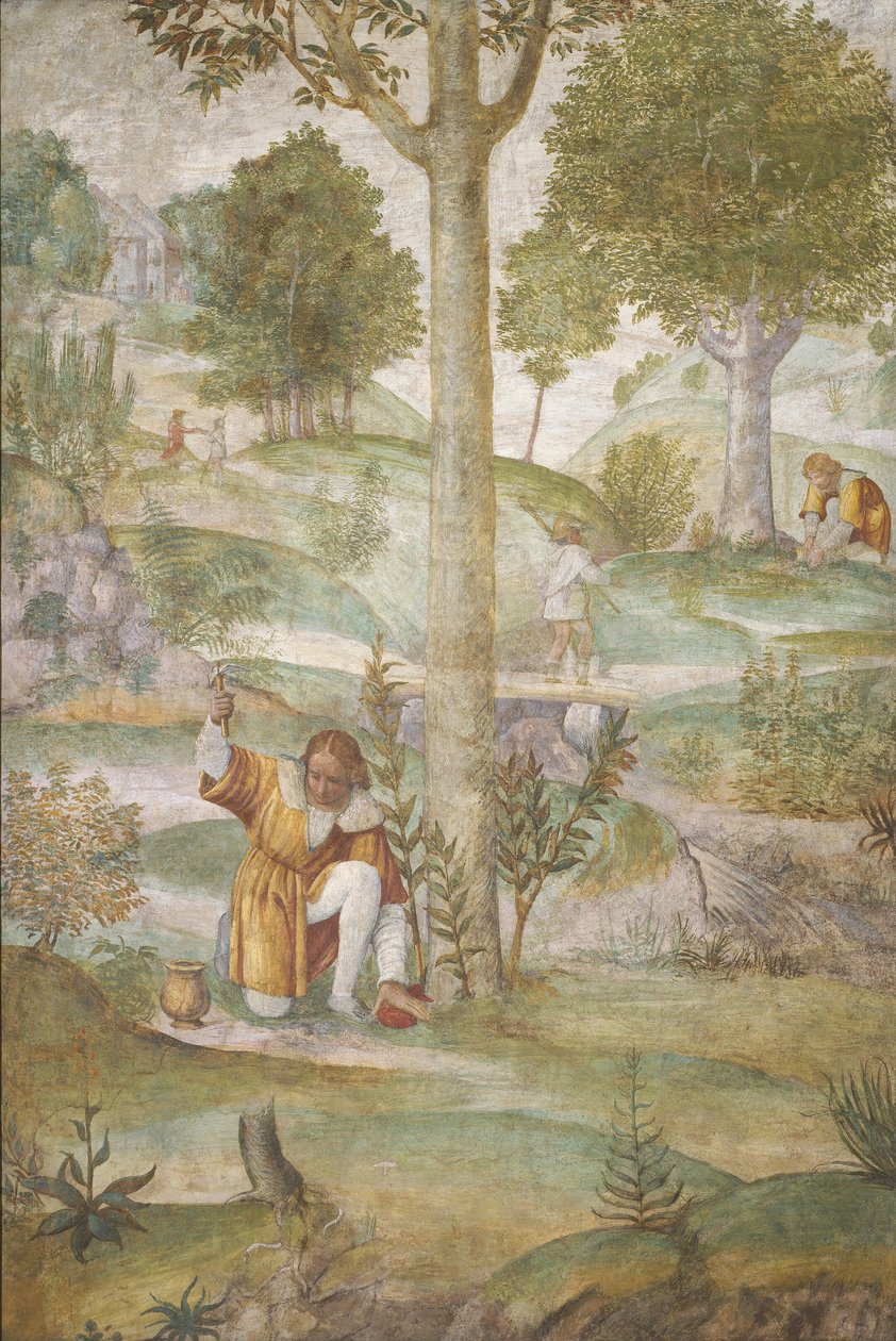 Cephalus skjuler juvelene av Bernardino Luini