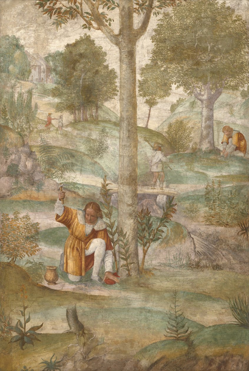 Kefalos gjemmer juvelene av Bernardino Luini