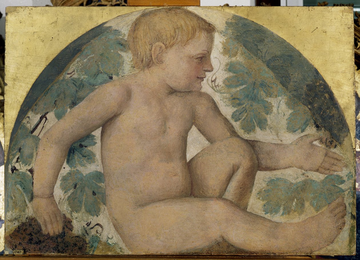 Høsting av putti - Putto under en pergola, ca. 1514 (frittstående freskomaleri båret om bord) av Bernardino Luini