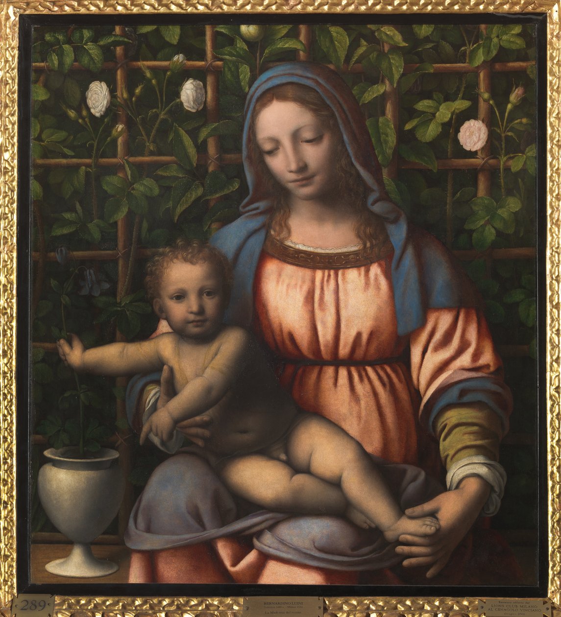 Madonna og barn (Madonna del Roseto) av Bernardino Luini