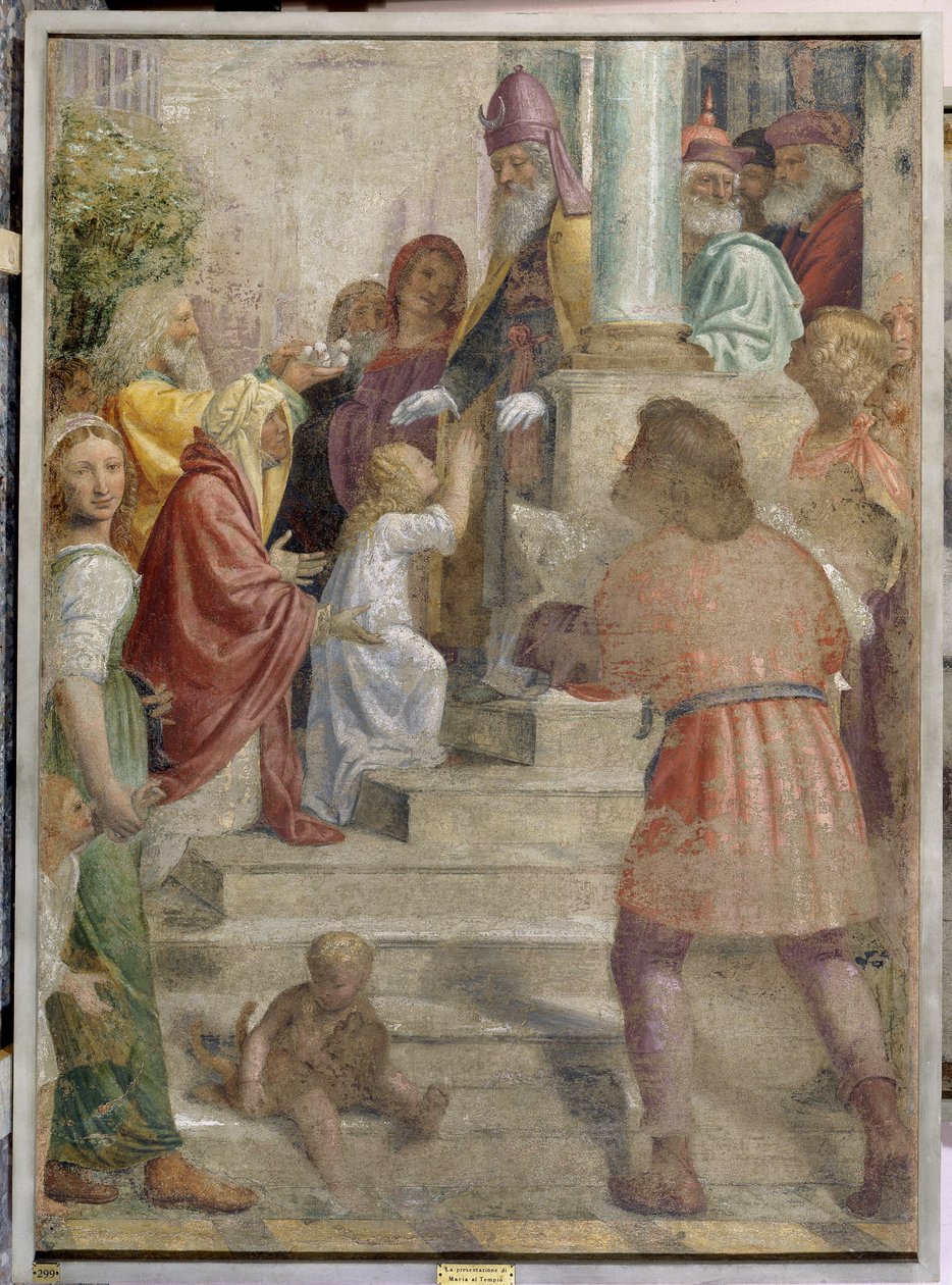 Presentasjon av Maria ved tempelet av Bernardino Luini