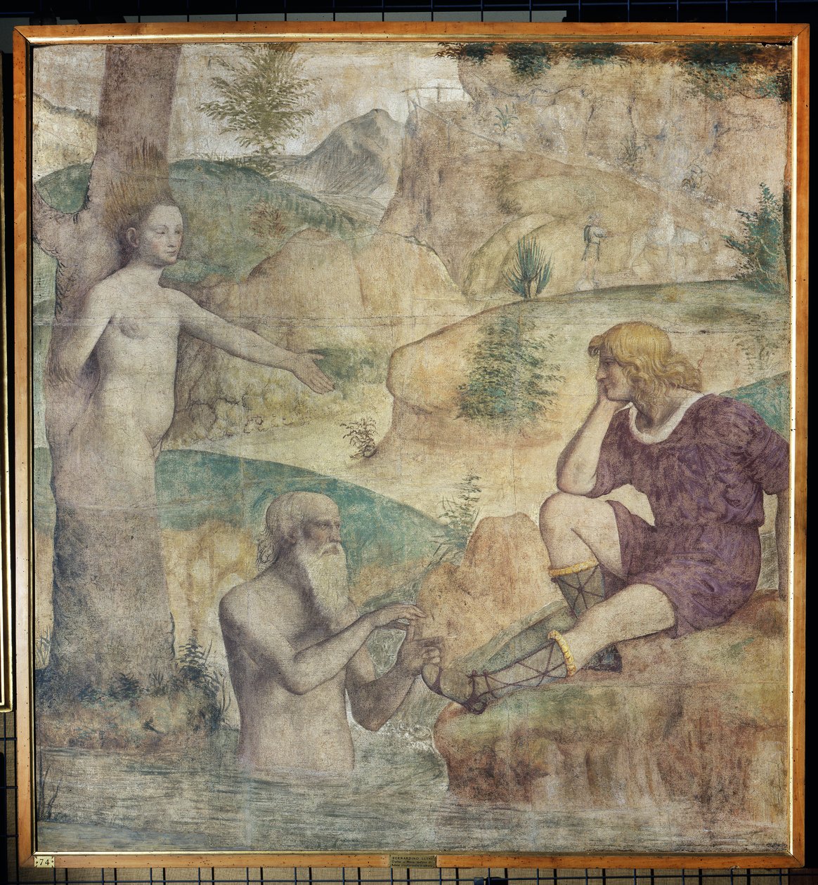 Seriøst konsulat av Driope og Tavaiano, ca. 1514 (frittliggende freskomaleri båret på lerret) av Bernardino Luini
