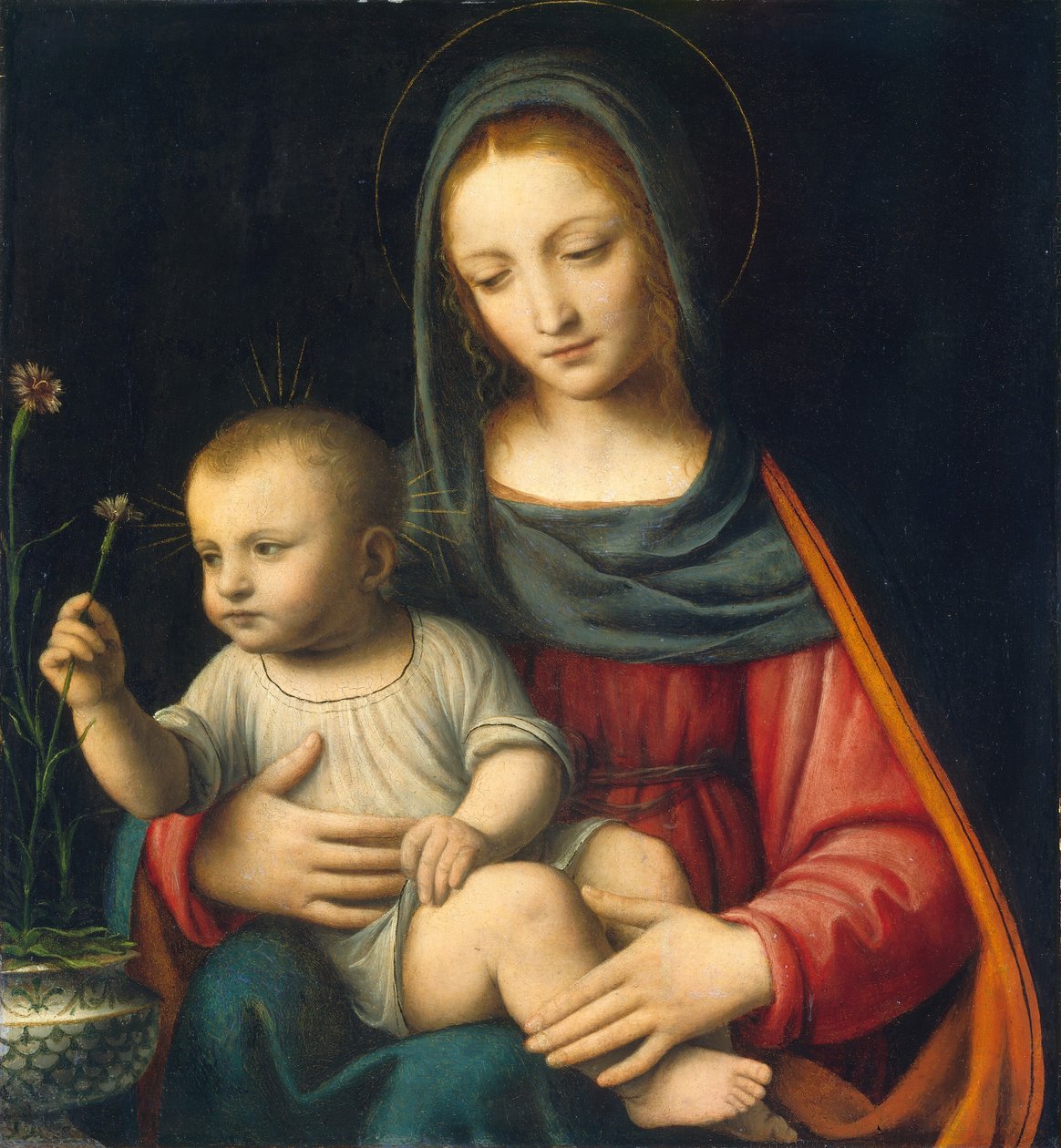 Nellikens Madonna av Bernardino Luini