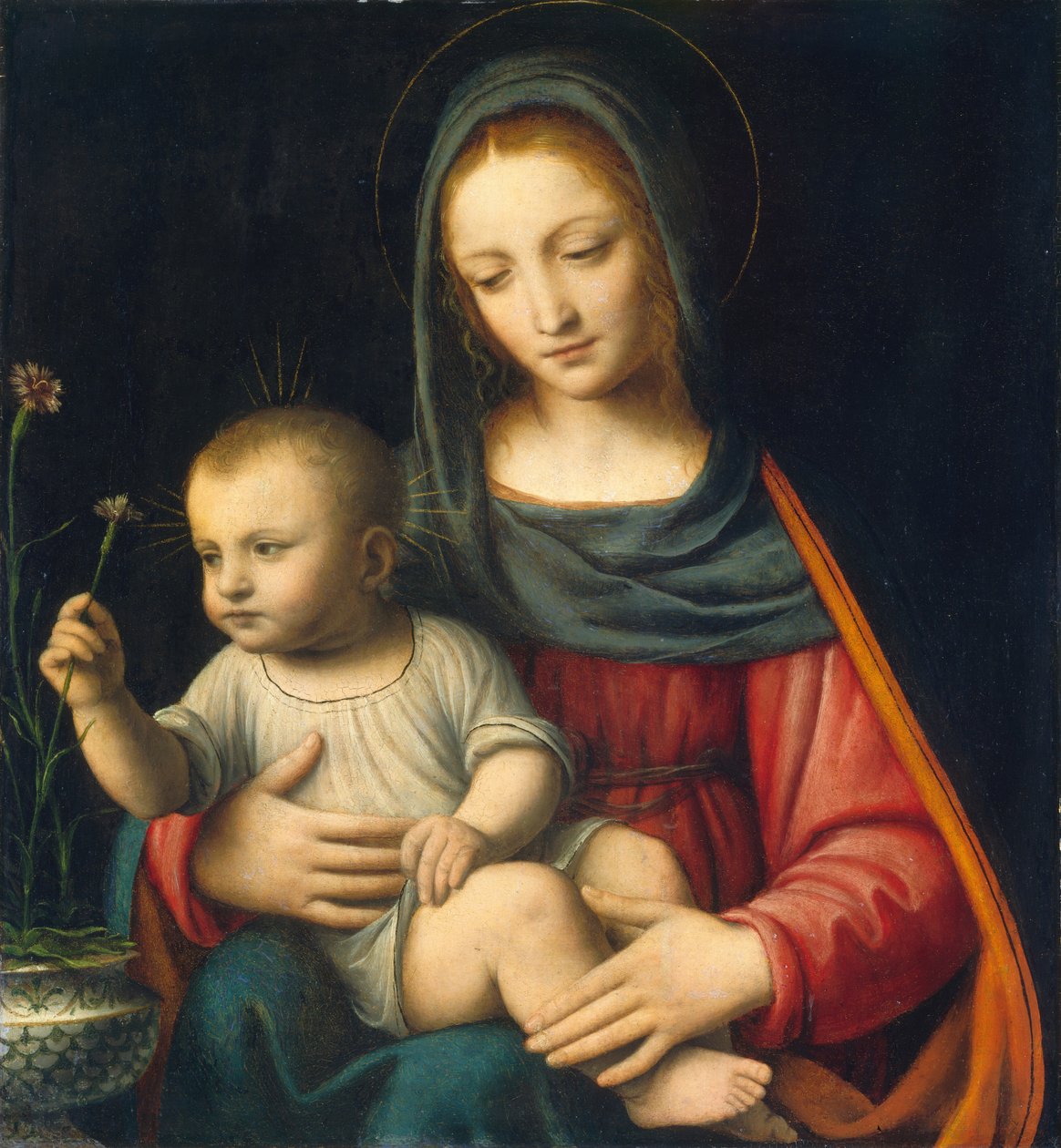 Madonnaen med nelliken av Bernardino Luini