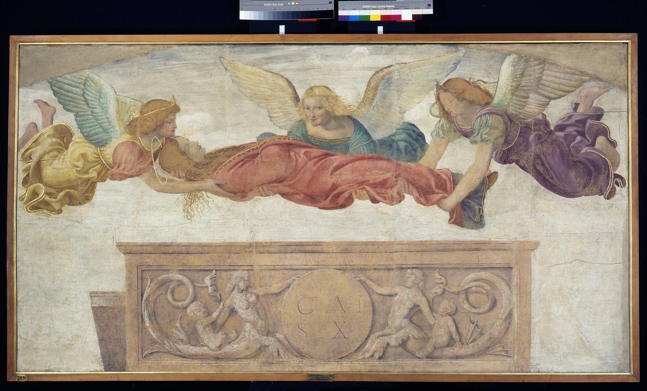 Kroppen til St. Catherine båret av engler, ca. 1514 (frittstående freskomaleri båret om bord) av Bernardino Luini