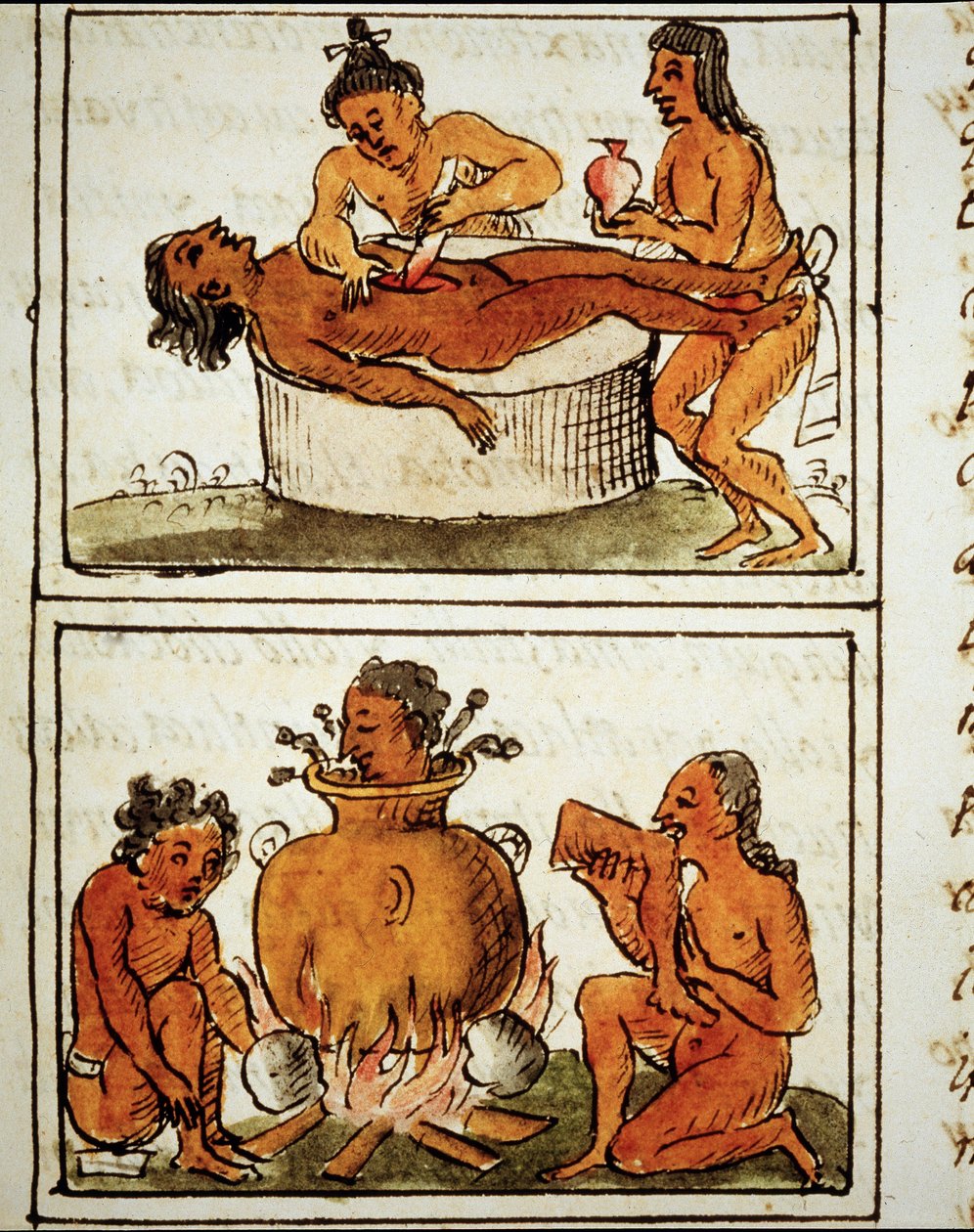 Menneskeofring og kannibalisme av aztekerne. Manuskript av Bernardino Sahagun av Bernardino de Sahagun