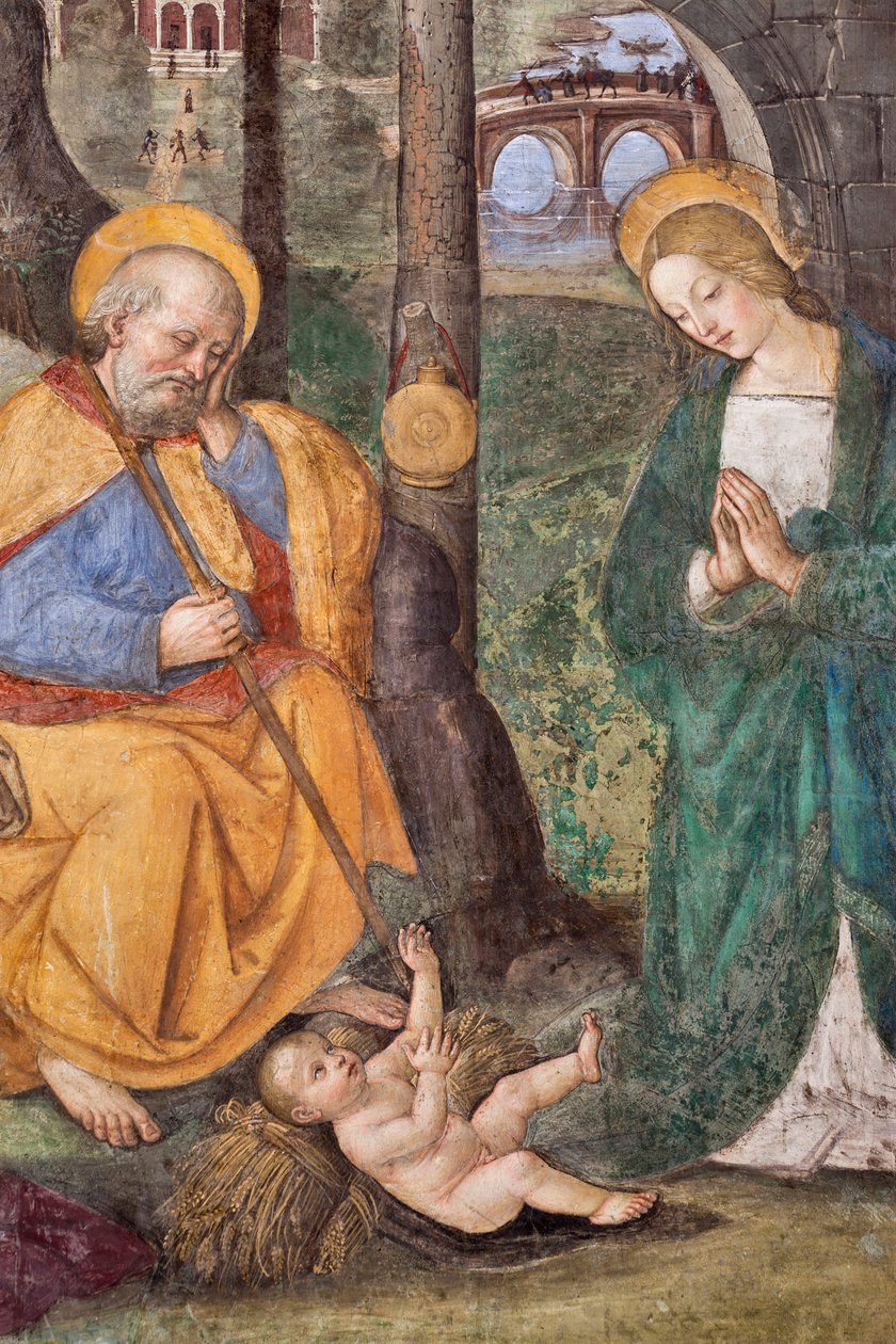 Tilbedelse av hyrdene (tilbedelse av hyrdene) Detaljfresco av Pinturicchio (Bernardino di Betto) (1454-1513) 1484-1492 (kirken Santa Maria del Popolo), basilikaen Santa Maria del Popolo, Cappella Basso della Rovere Roma Italia av Bernardino di Betto Pinturicchio