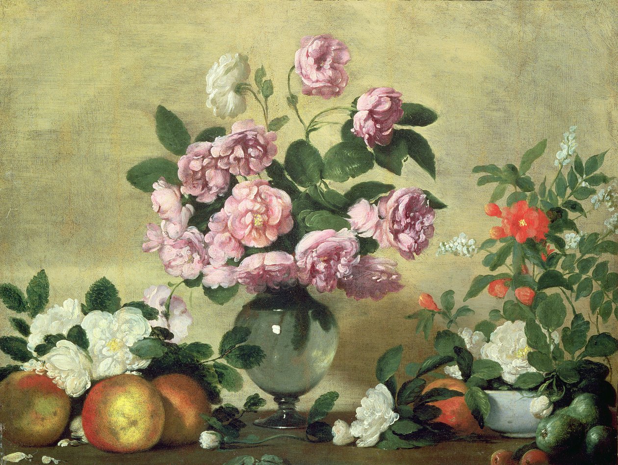 Blomster og frukt av Bernardo Strozzi