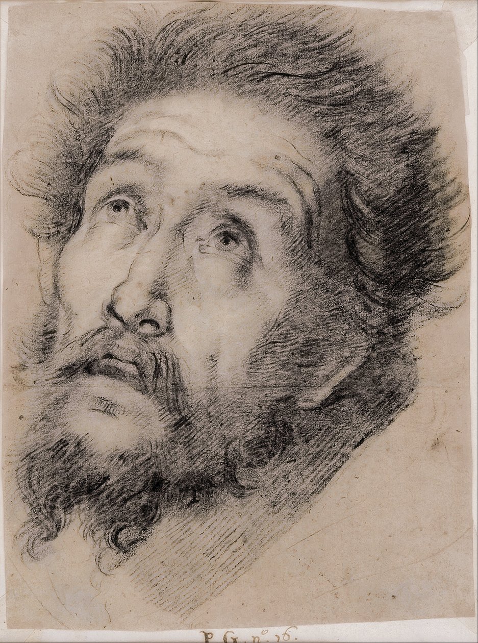 Studer for Frans av Assisi som elsker korset av Bernardo Strozzi