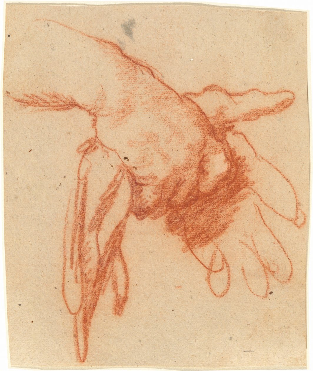 En hånd som holder tomme hansker av Bernardo Strozzi