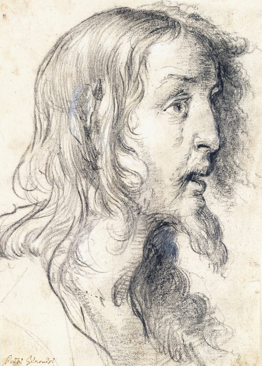 Kristi hode i profil til høyre, av Bernardo Strozzi