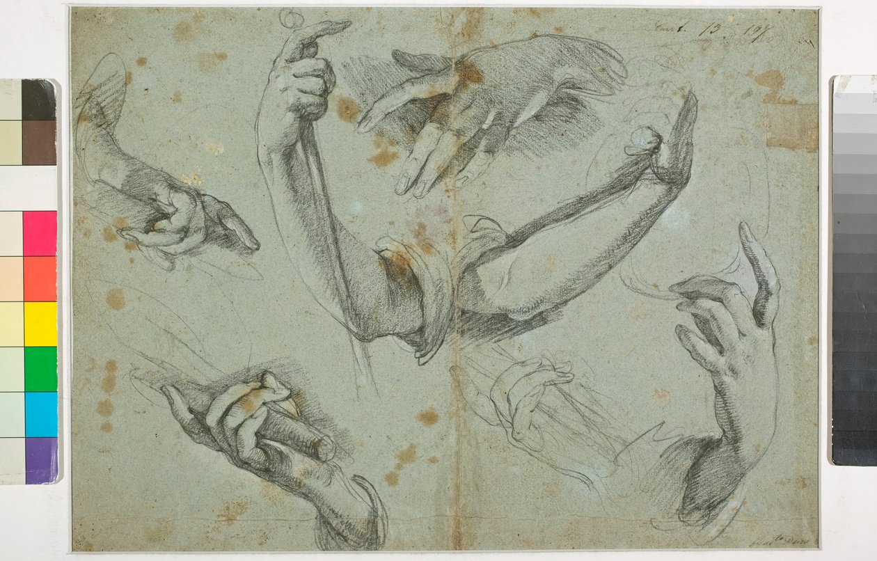 Ukjent bilde av Bernardo Strozzi