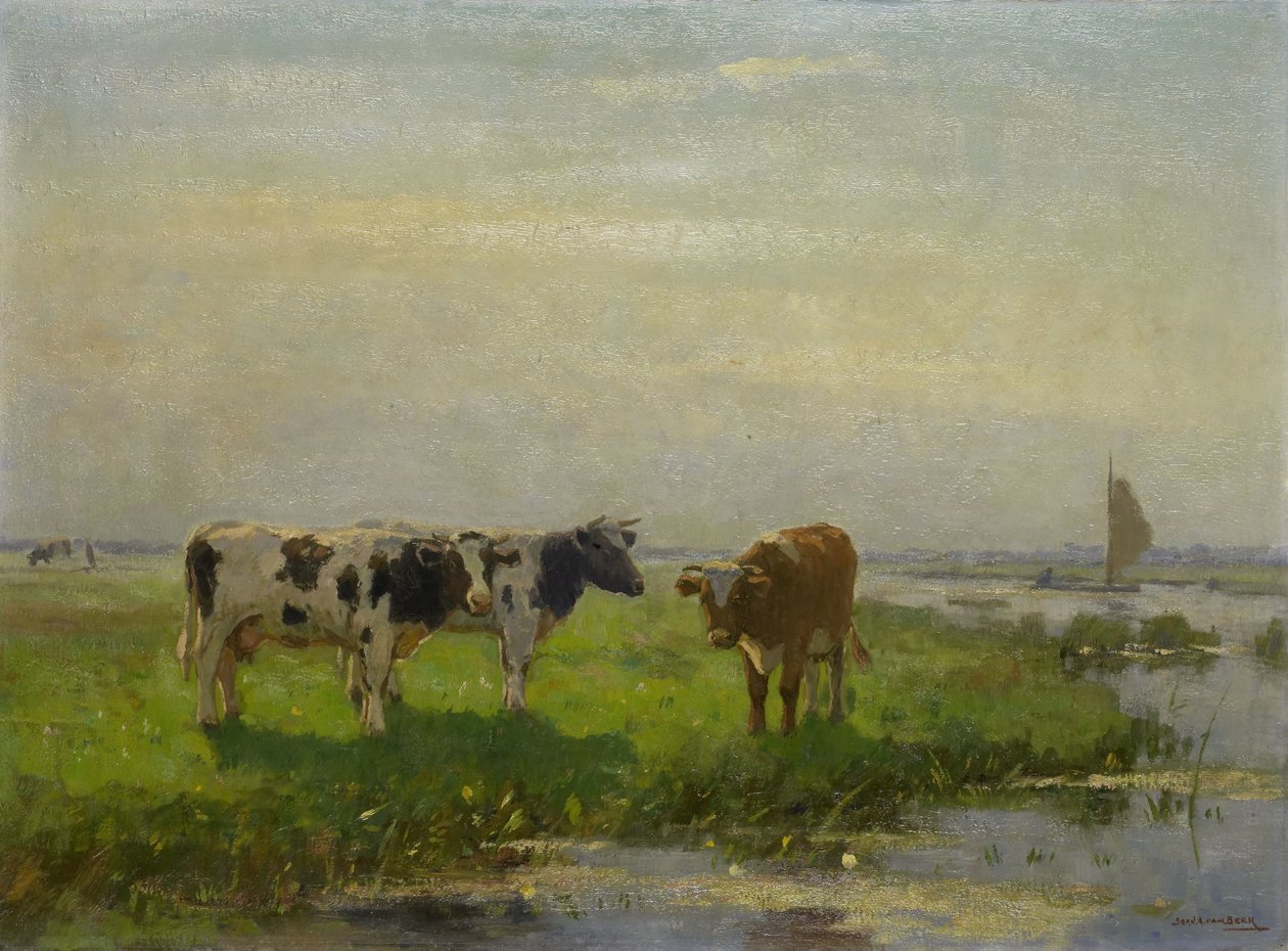 Kyr i Enga av Bernardus Antonie van Beek