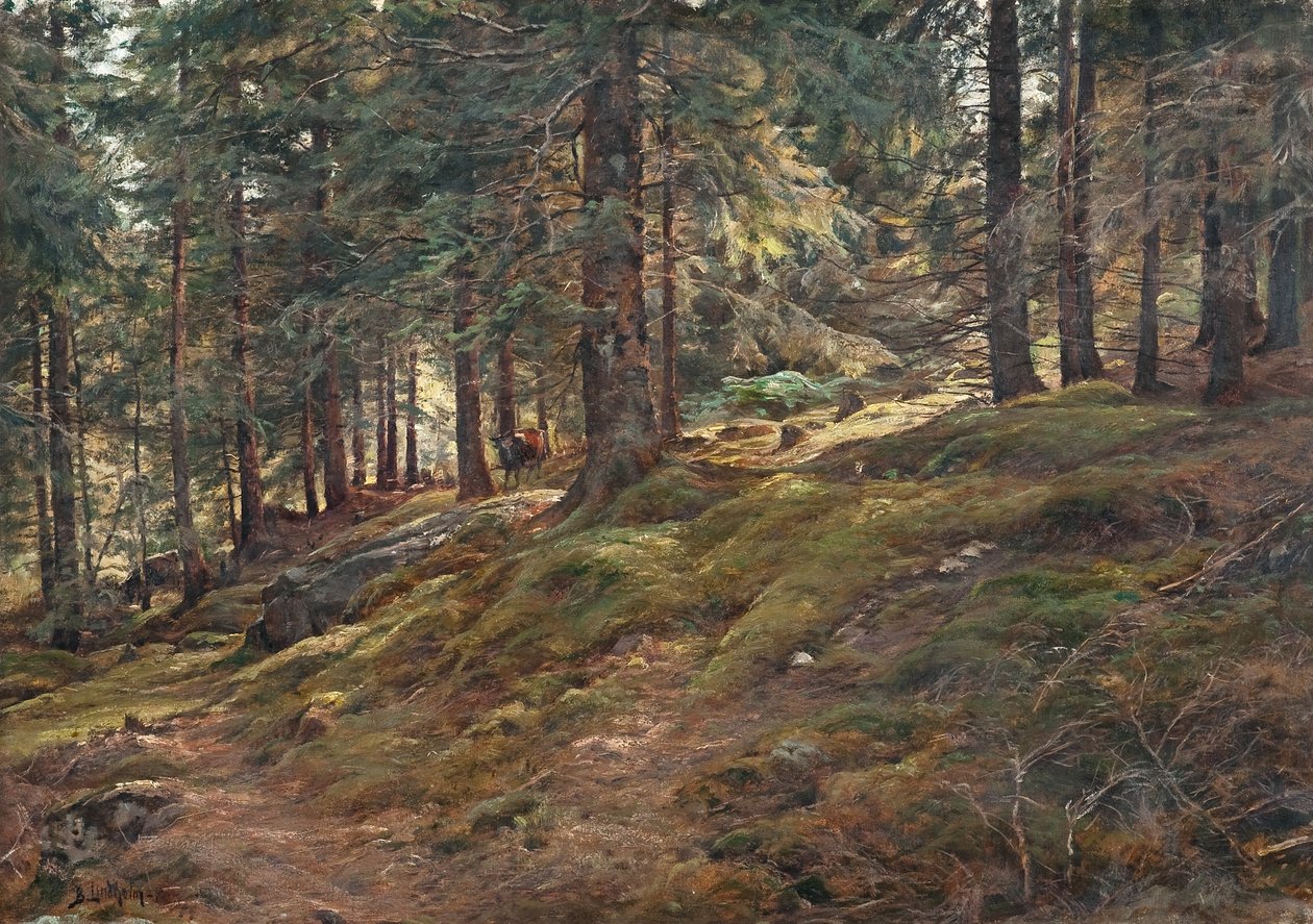  av Berndt Lindholm