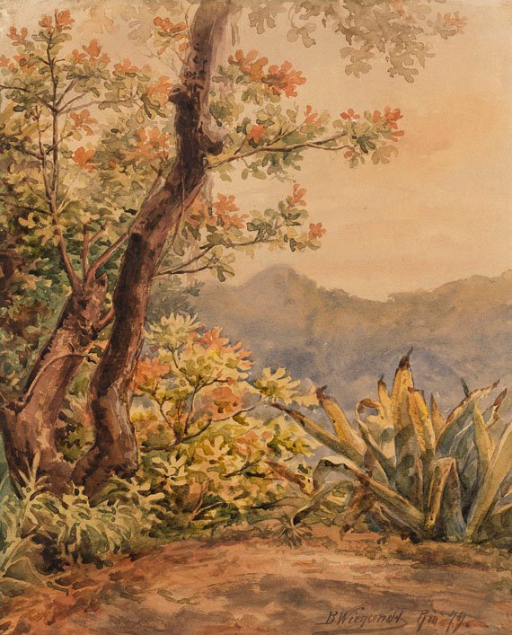Brasiliansk landskap med agave av Bernhard Wiegandt