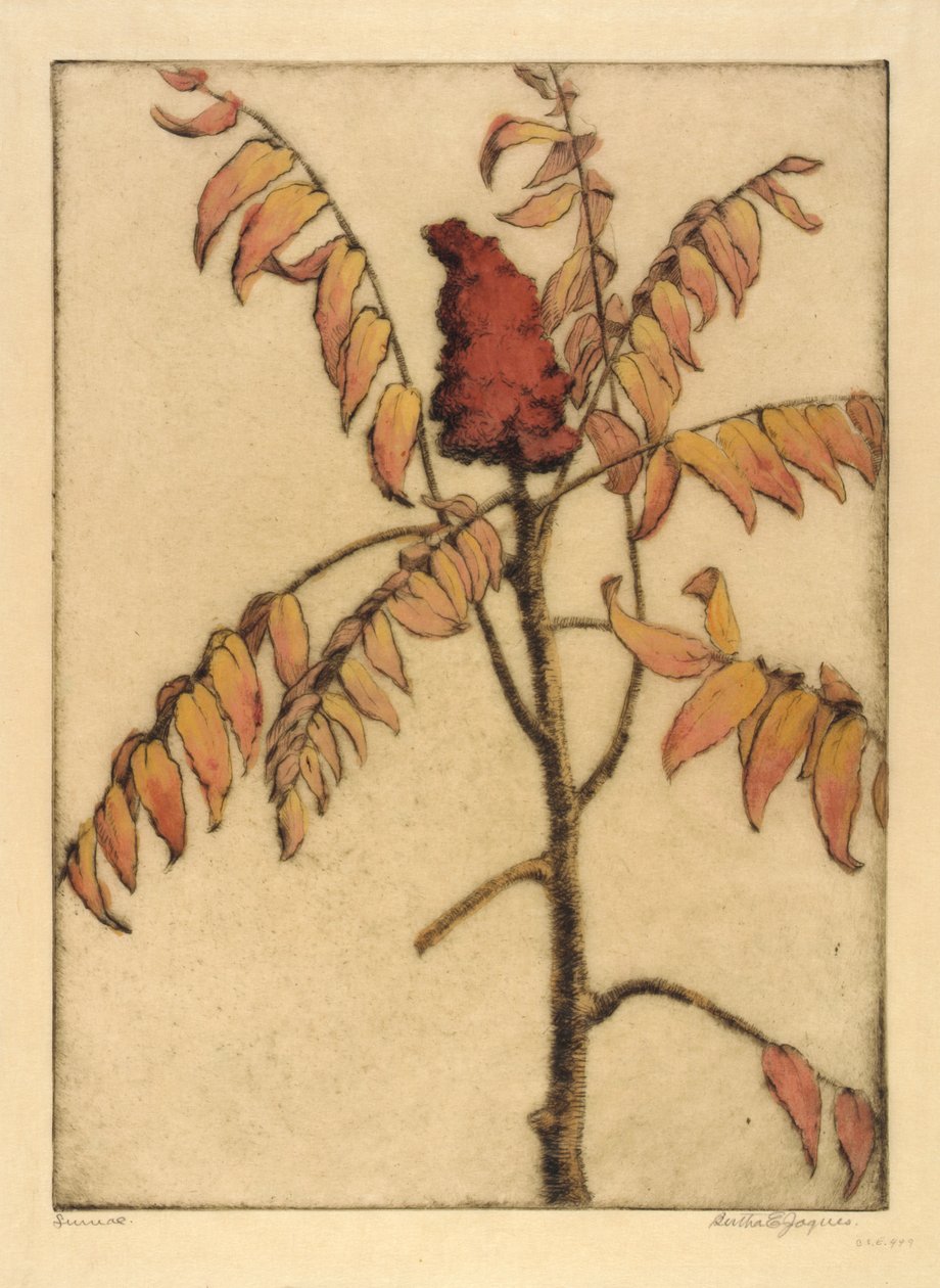  av Bertha E. Jaques