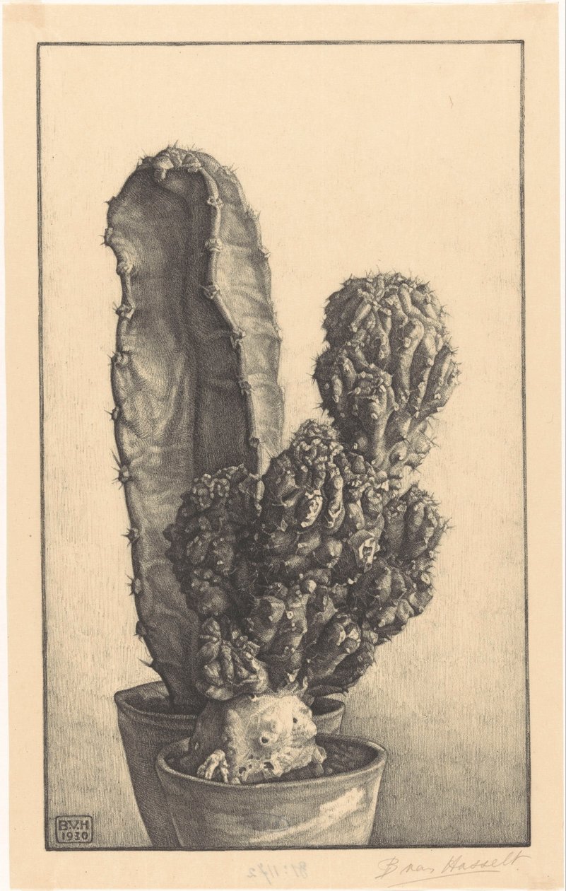 Caktussen (original tittel) av Bertha van Hasselt (signed by artist)