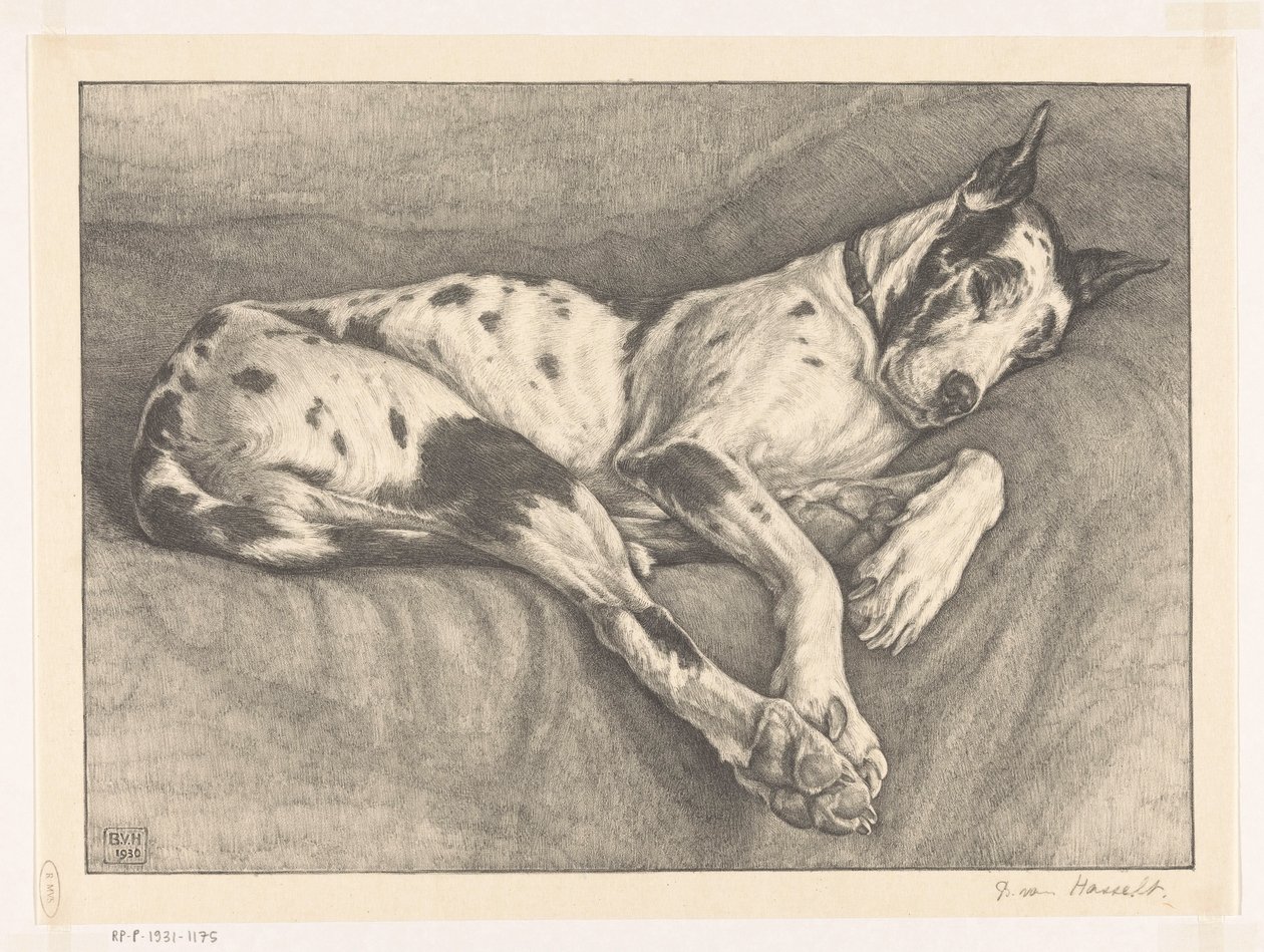 sovende hund av Bertha van Hasselt (signed by artist)