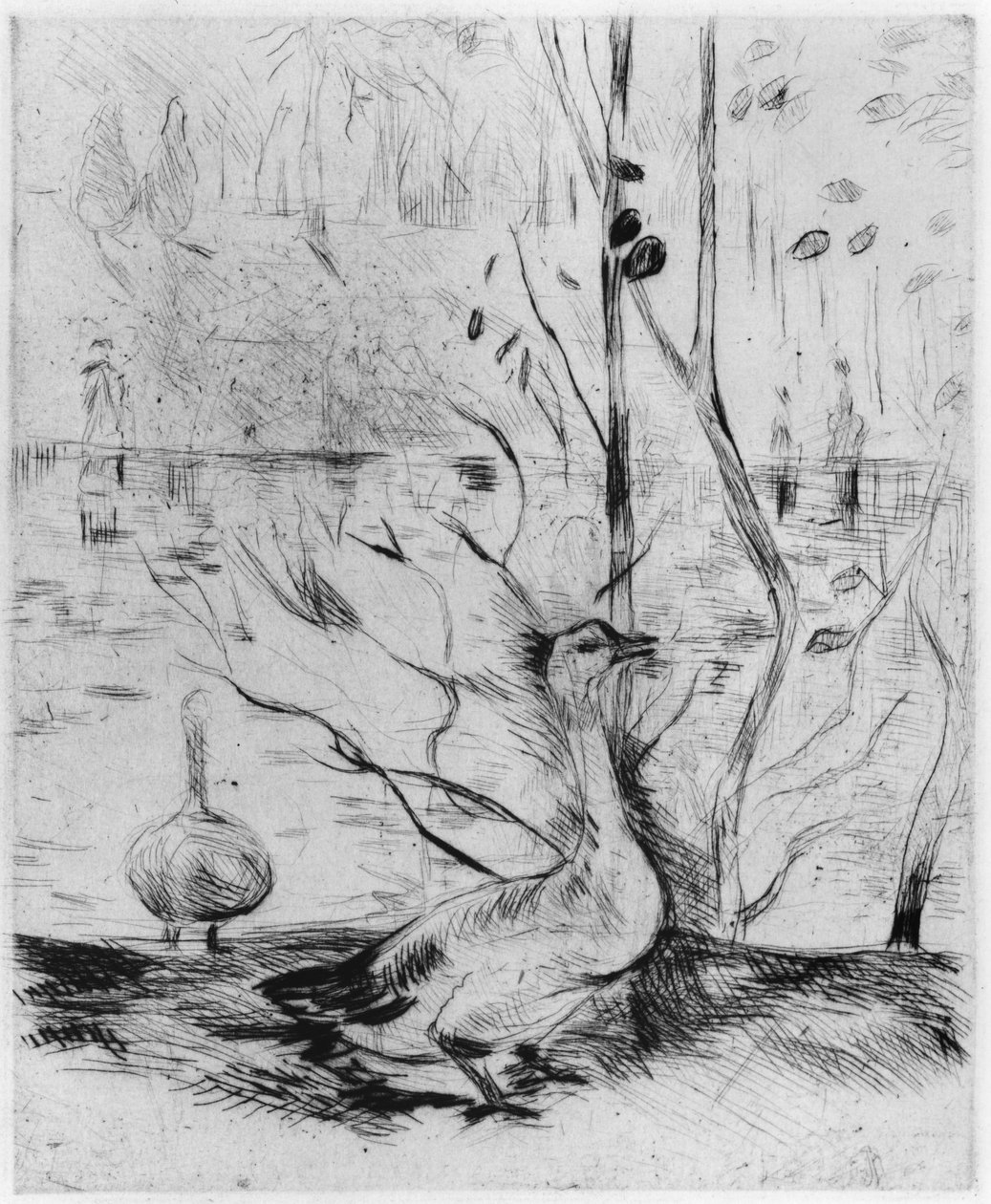 Gås, 1889 (tørrpunkt) av Berthe Morisot