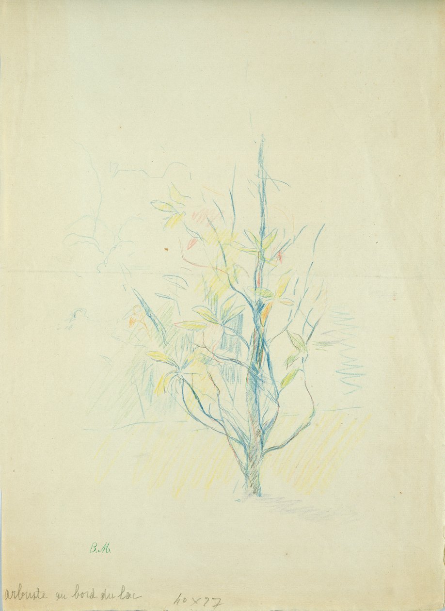 Busker ved sjøen, 1893 (farget blyant på papir) av Berthe Morisot