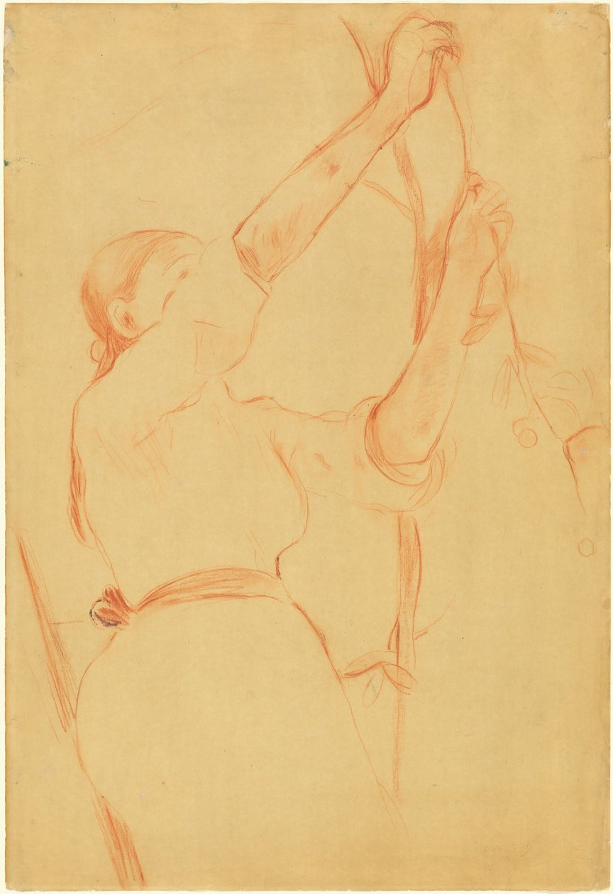 Jente plukker kirsebær, 1891. av Berthe Morisot