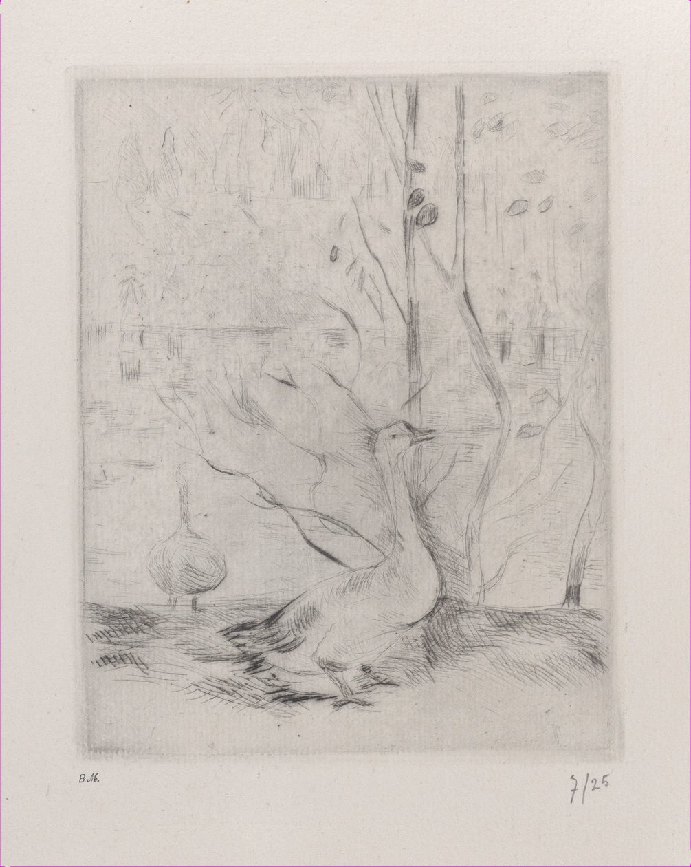Gås, 1889. av Berthe Morisot