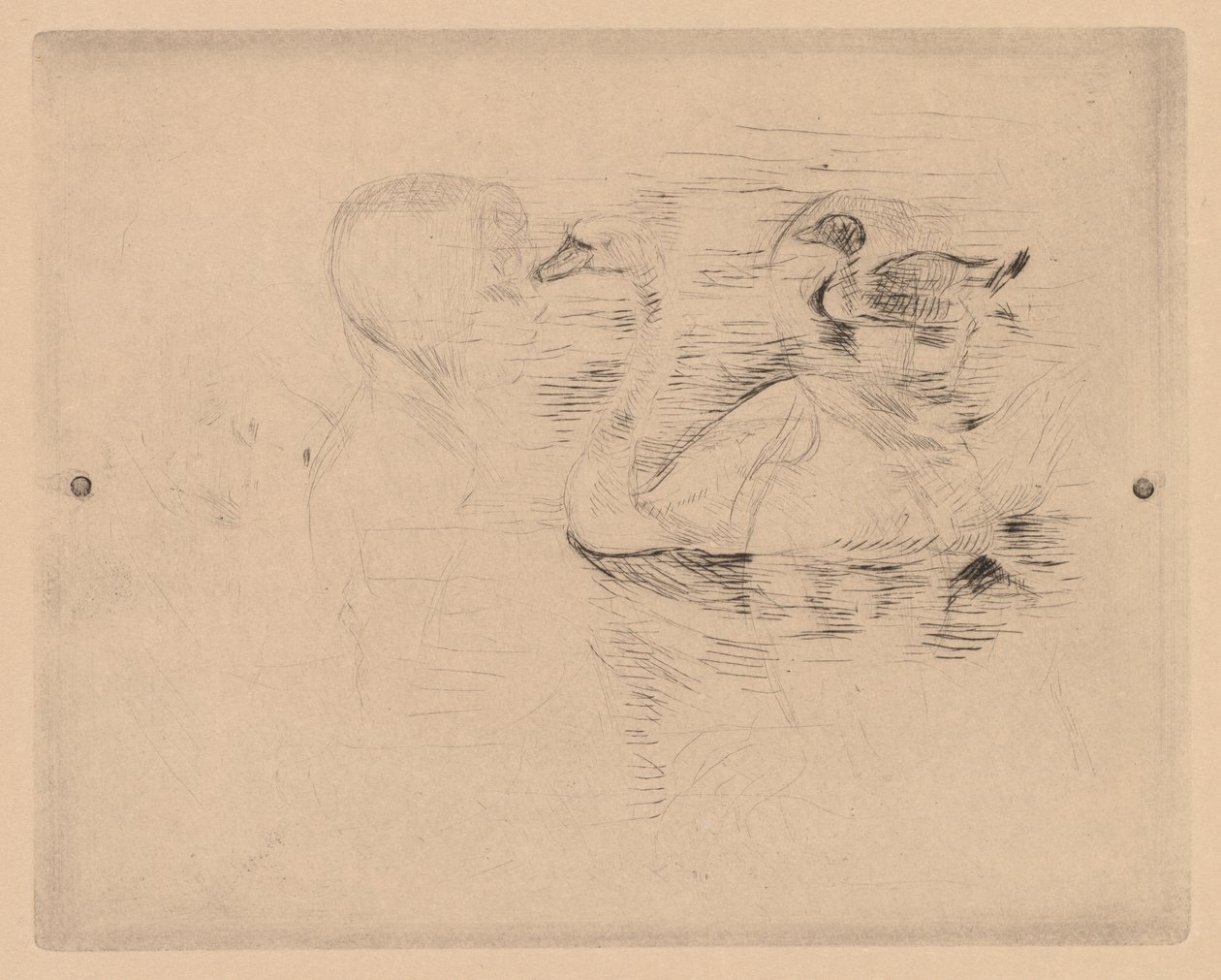 Svane og and, med portretter av Julie av Berthe Morisot