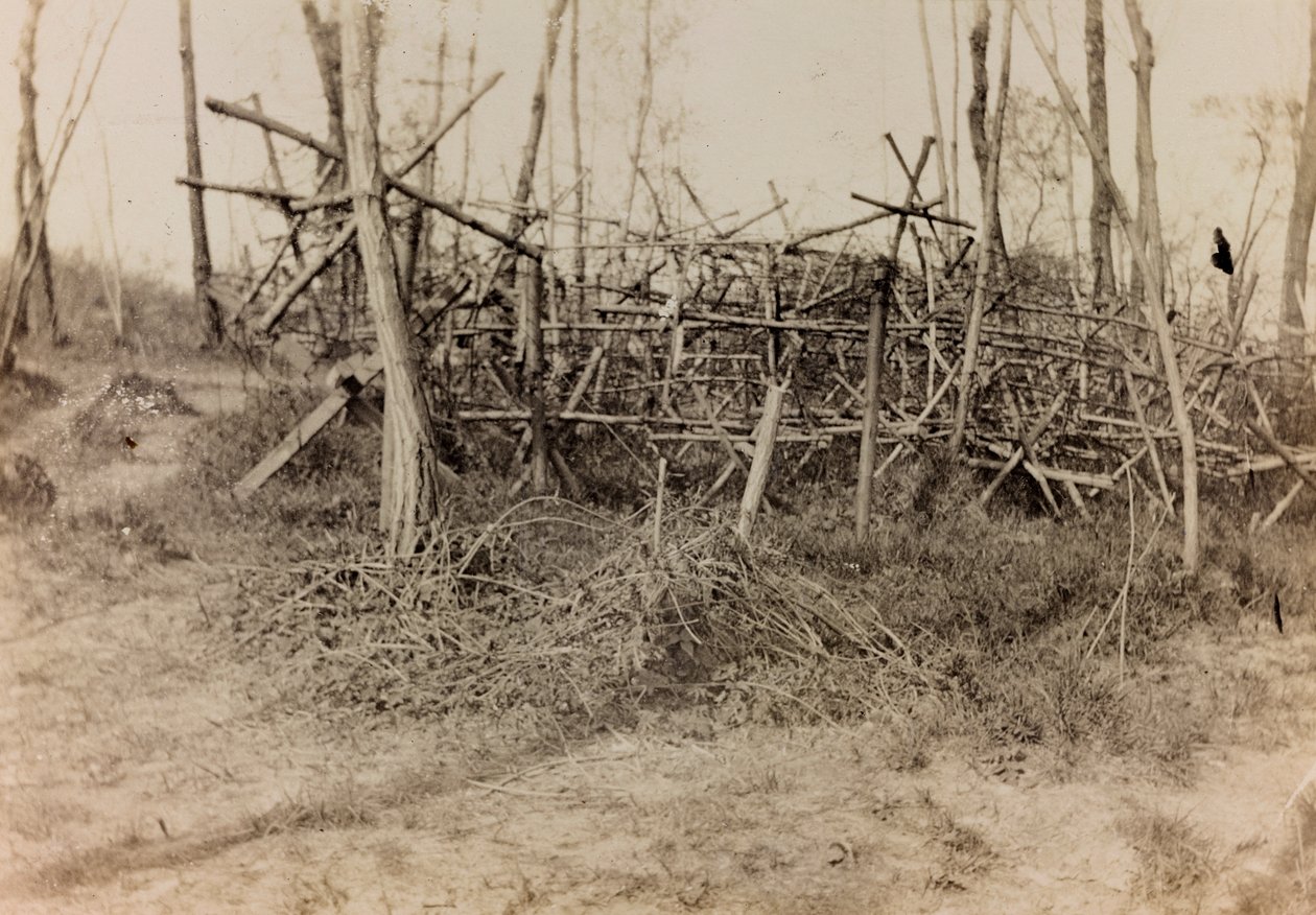 Album av første verdenskrig i Friuli-Venezia Giulia: defensiv hindring (frisiske hester), 05/1916 (s/h foto) av Bertoni Bertoni