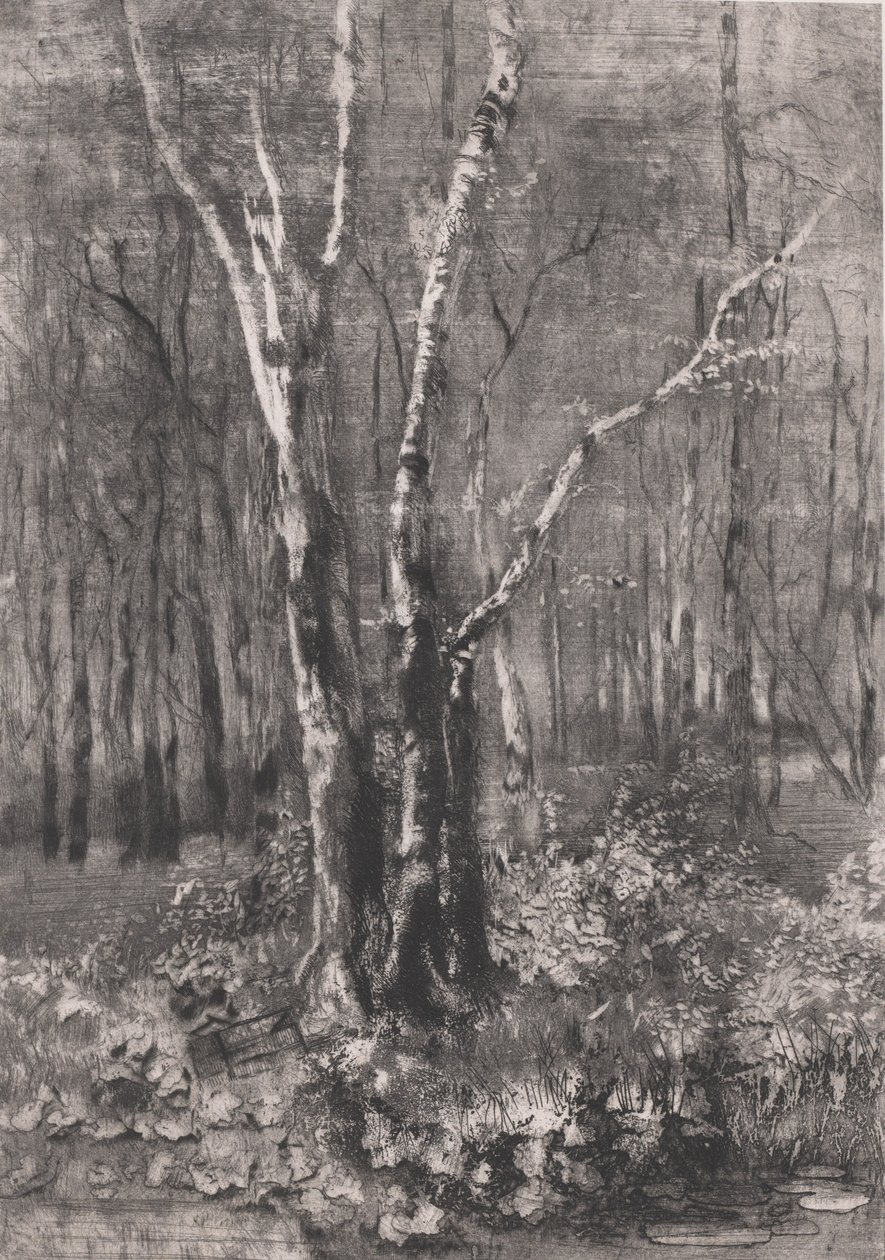 Skogen i parken nær Monza, 1895. av Bianchi Mose