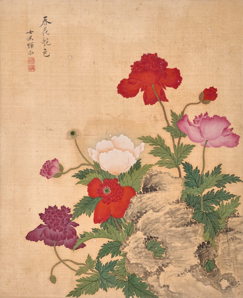 Blomsteralbum (blekk og farge på silke) av Bing Yun