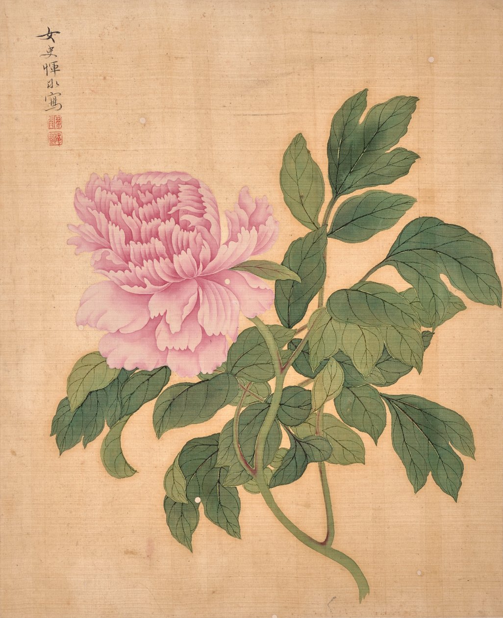 Peon fra blomsteralbum (blekk og farge på silke) av Bing Yun