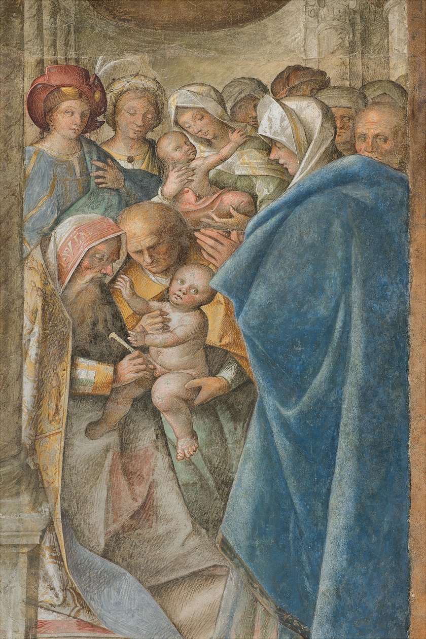 Central Aave, Fourth North Span, Circumcision, Boccaccio Boccaccino 1516-17, detalj av Boccaccio Boccaccino
