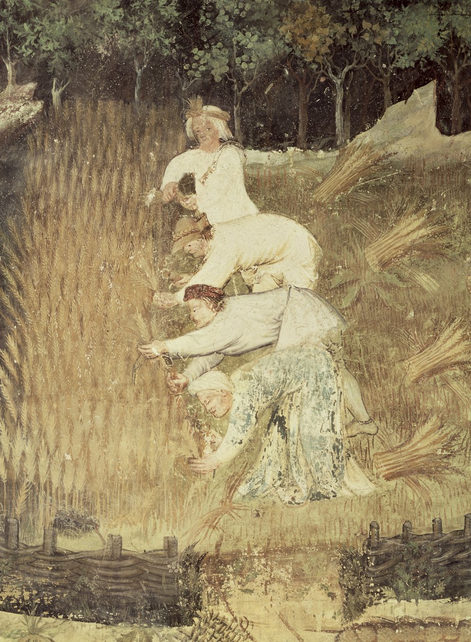 August måned, detalj av innhøstingen, ca. 1400 av Bohemian School