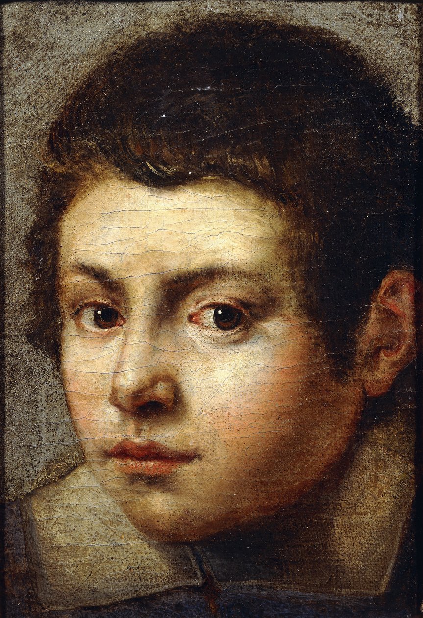 Hodet til en ung gutt, av Bolognese School