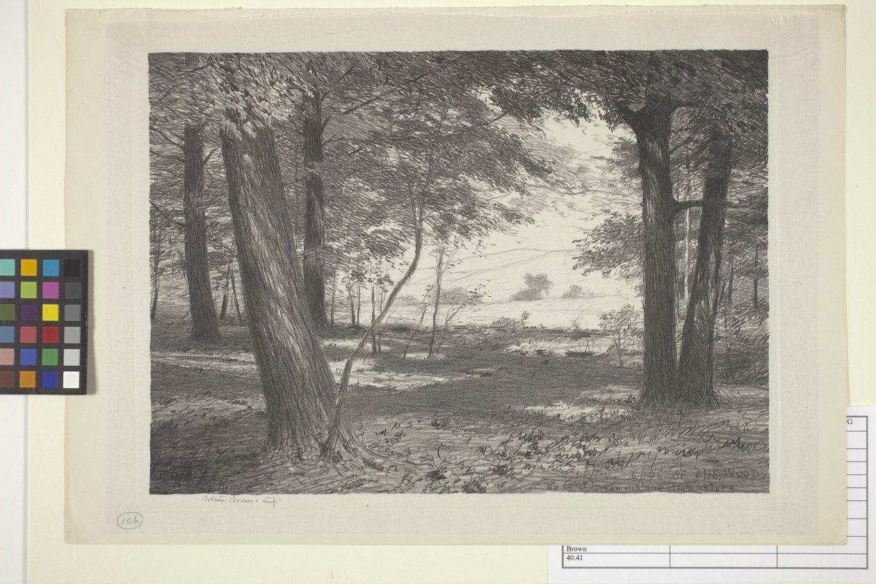 Edge Of The Woods (blekk på papir) av Bolton Coit Brown