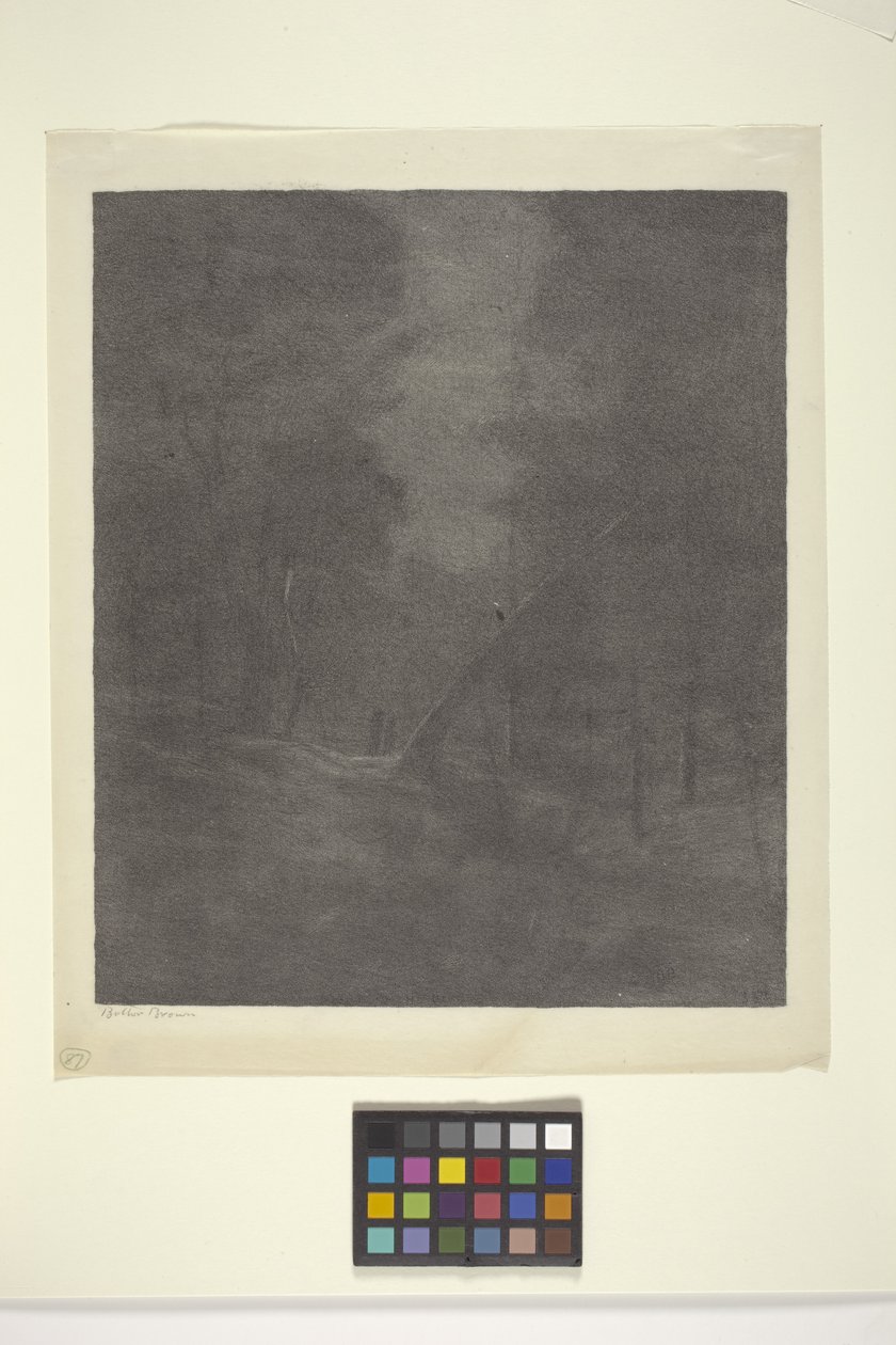 Moonlight Woods (blekk på papir) av Bolton Coit Brown