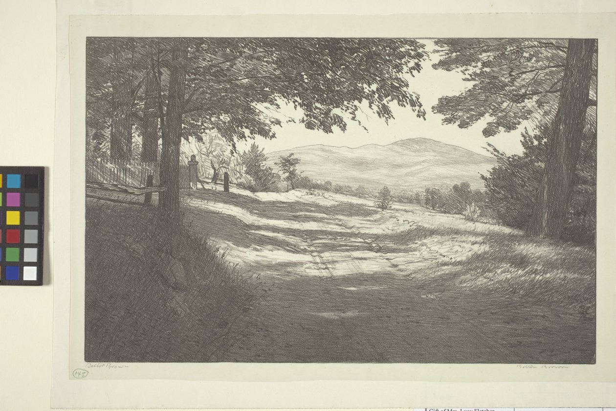 North View (blekk på papir) av Bolton Coit Brown